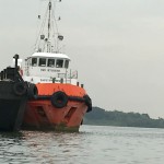 Evolution 28